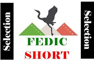 ITALIA FILM FEDIC 74 - I film di FEDIC Short