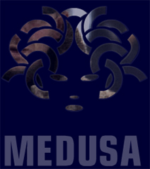 Medusa Film prima distribuzione della stagione cinematografica 2007-2008