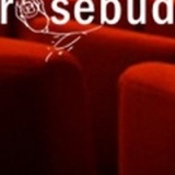 Incontri di cinema gratuiti al Rosebud di Reggio Emilia