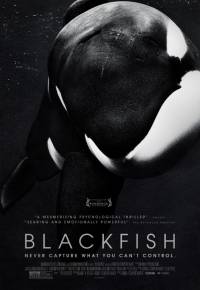 BLACKFISH - In home video il documentario sull'orca killer