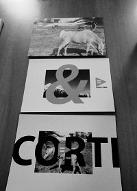 I vincitori di Corti&Pari 2014