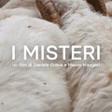 I MISTERI - Il documentario sulle feste popolari siciliane appassiona gli USA