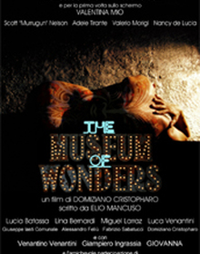locandina di "The Museum of Wonders"