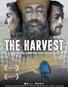 locandina di "The Harvest - Il Raccolto"