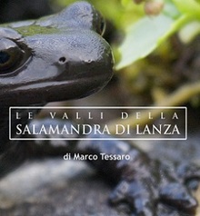 locandina di "Le Valli della Salamandra di Lanza"