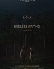 locandina di "Endless Waiting"