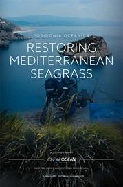 locandina di "Posidonia Oceanica - Una Speranza per il Mediterraneo"